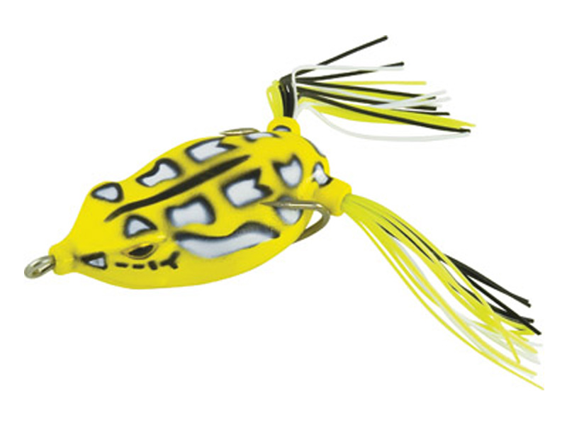 Rapture Dancer Frog Yellow 02